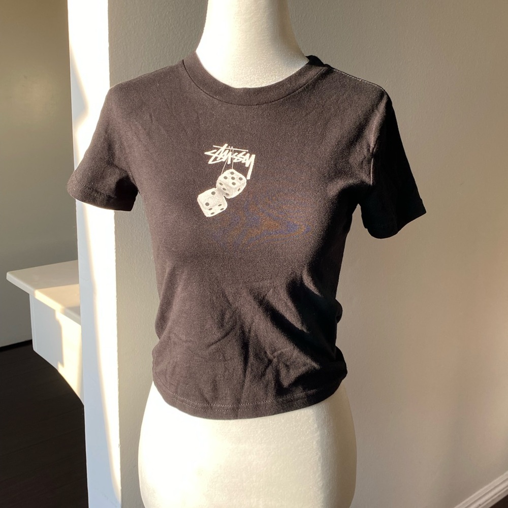 Stussy Brown Fitted Short Sleeve T-Shirt